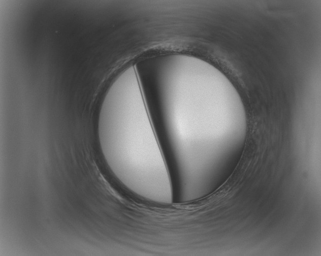 X0000083650020200702120848