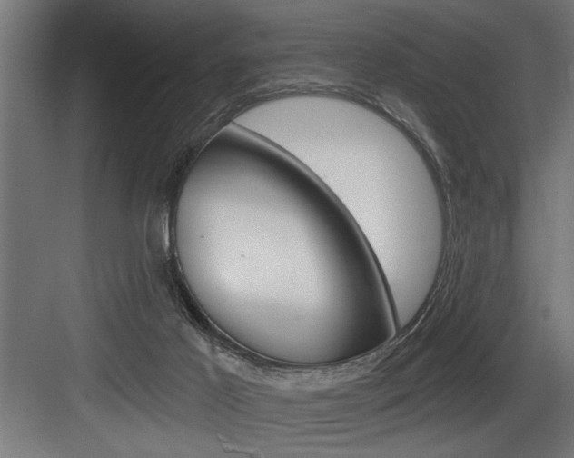 X0000083650021200702120848