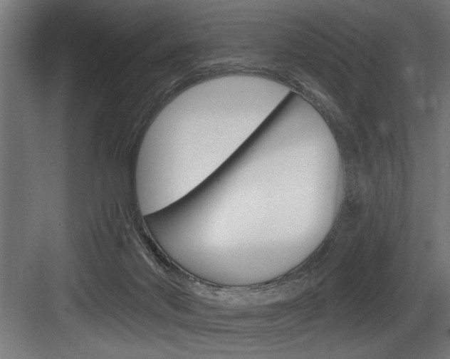 X0000083650022200702120848