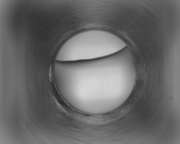 X0000083650024200702120848