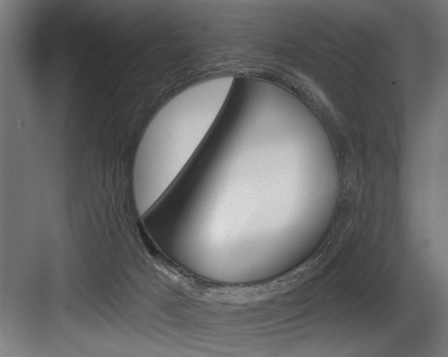 X0000083650025200702120848