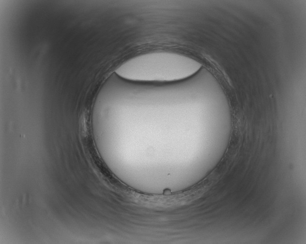 X0000083650026200702120848