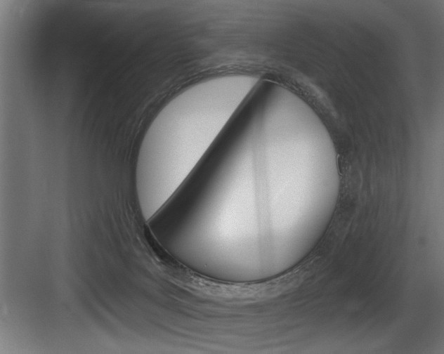 X0000083650027200702120848
