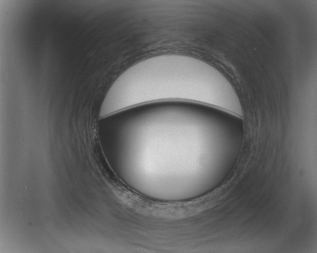 X0000083650029200702120848