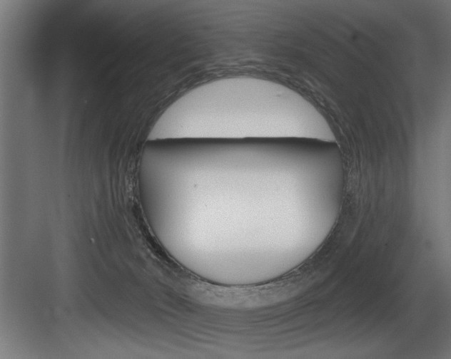 X0000083650030200702120848