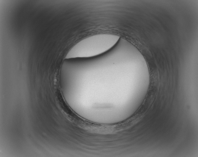 X0000083650032200702120848