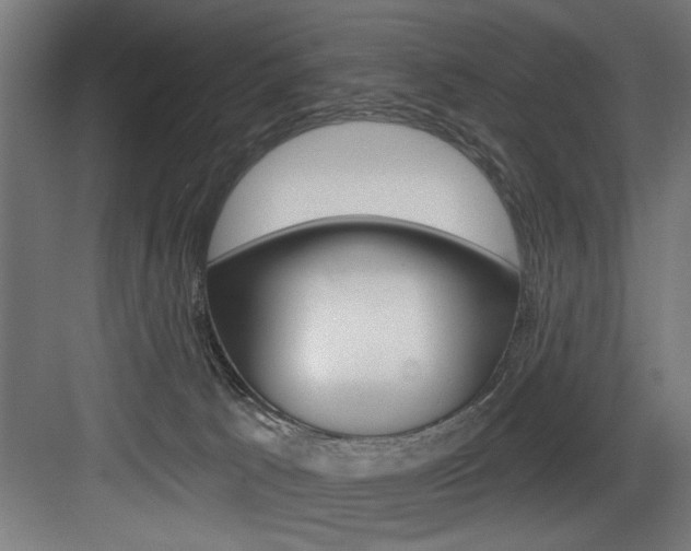 X0000083650033200702120848