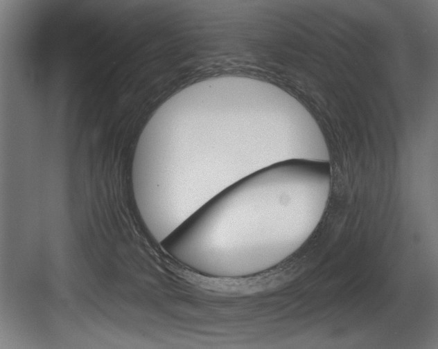 X0000083650034200702120848