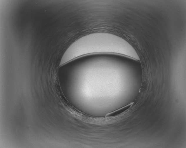 X0000083650037200702120848