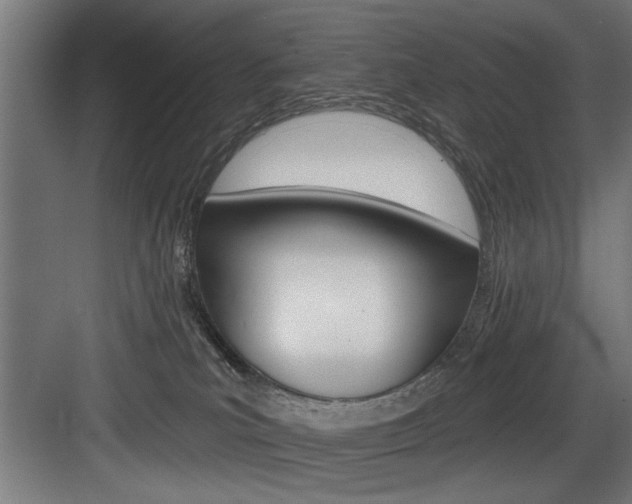 X0000083650039200702120848