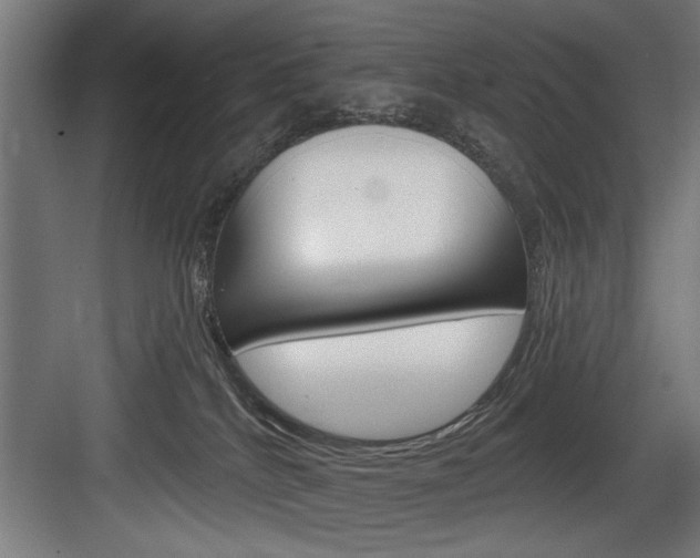 X0000083650040200702120848