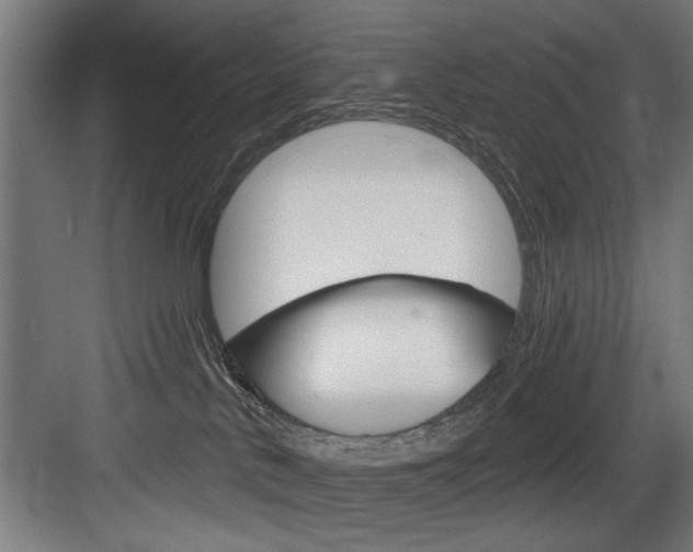 X0000083650042200702120847