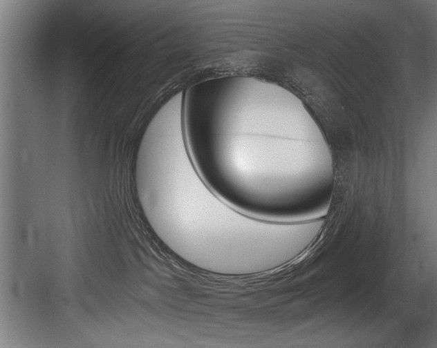 X0000083650045200702120847