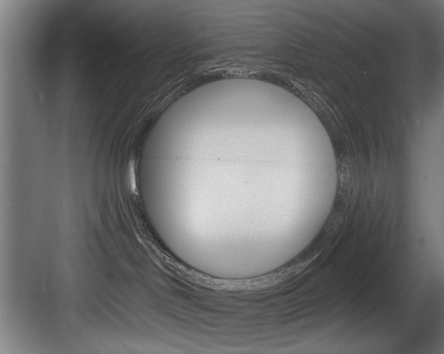 X0000083650046200702120847
