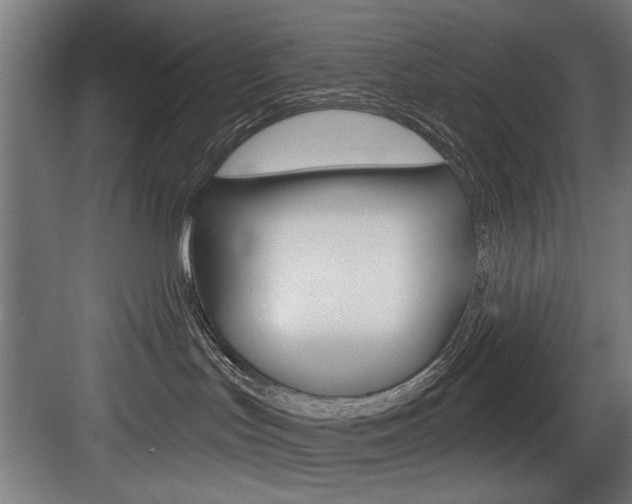 X0000083650047200702120847