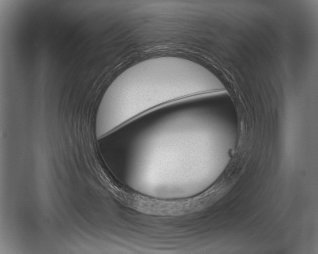 X0000083650048200702120847