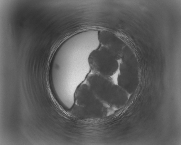 X0000083650049200702120847
