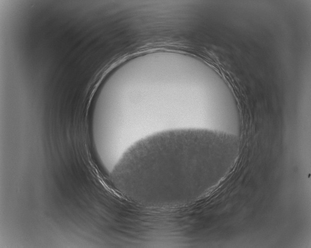 X0000083650050200702120847