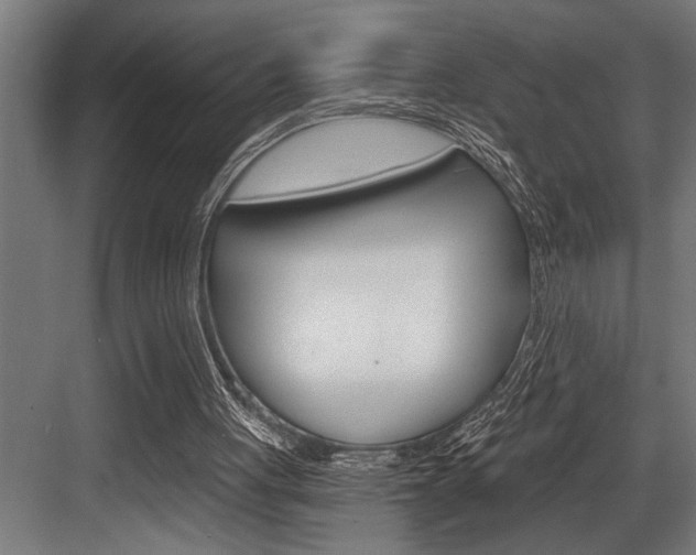 X0000083650051200702120847