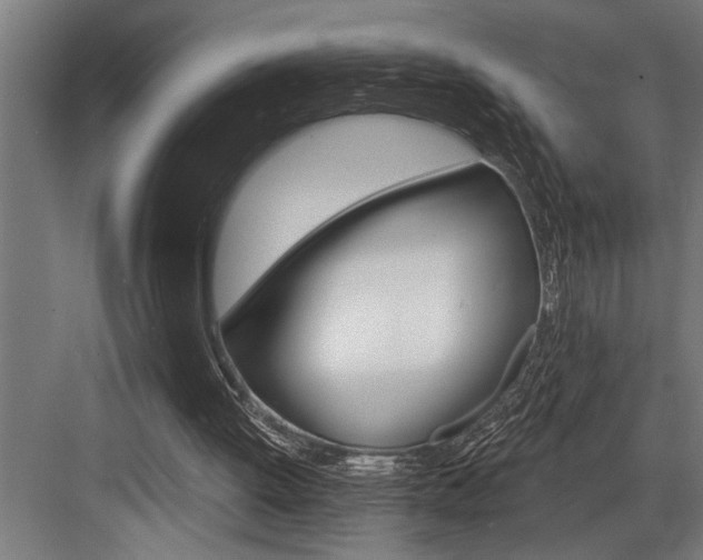 X0000083650052200702120847