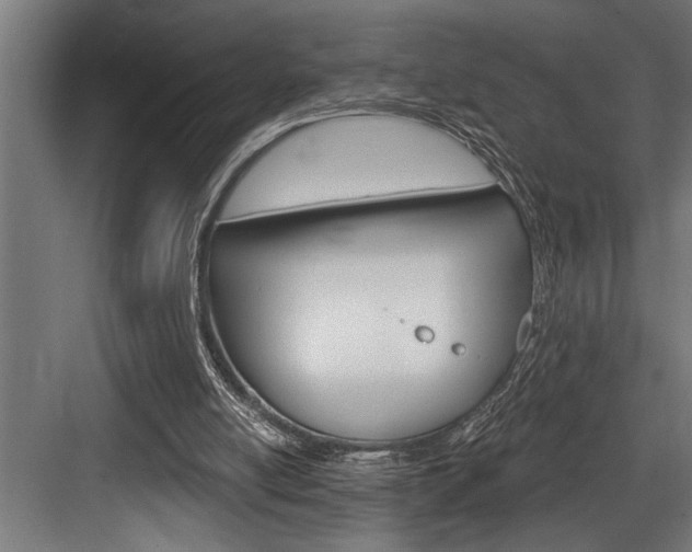 X0000083650054200702120847