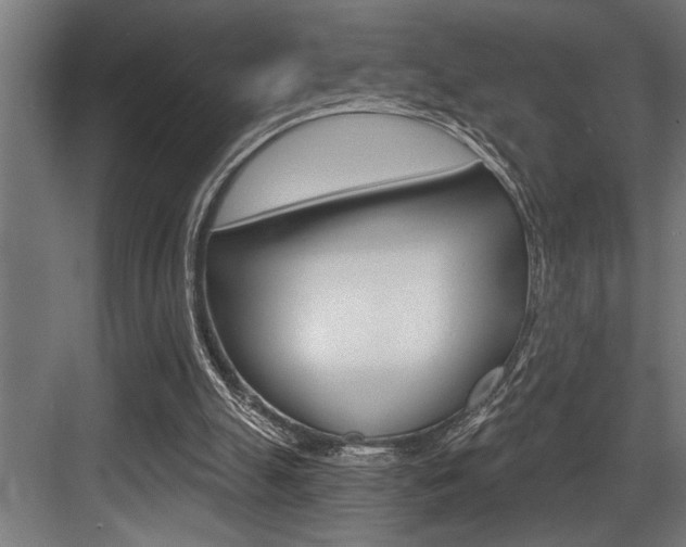 X0000083650055200702120847
