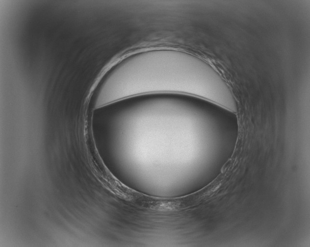 X0000083650056200702120847