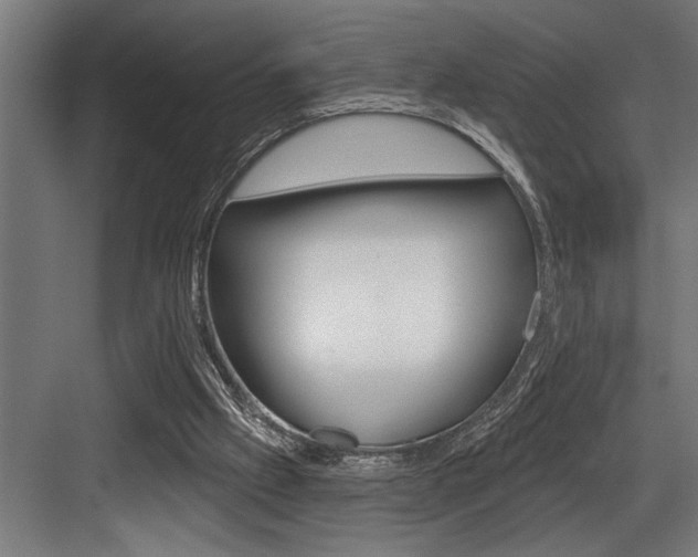 X0000083650057200702120847