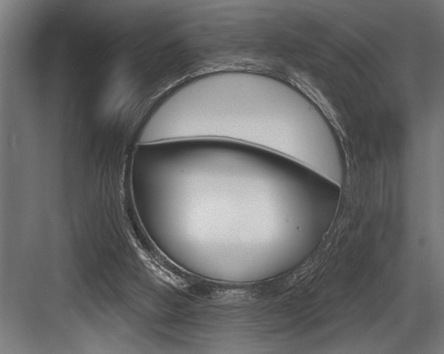 X0000083650058200702120847