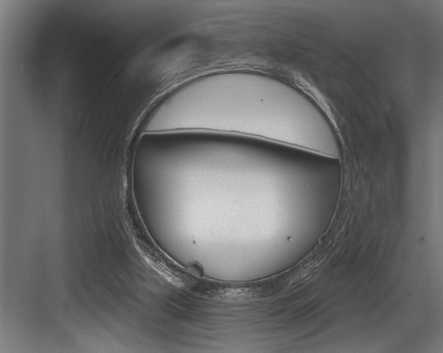 X0000083650059200702120847