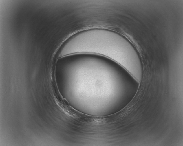 X0000083650060200702120847