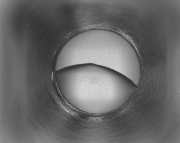 X0000083650061200702120847