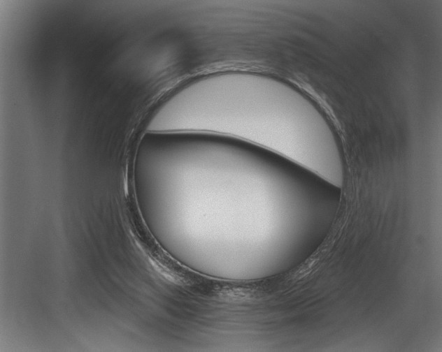 X0000083650062200702120847