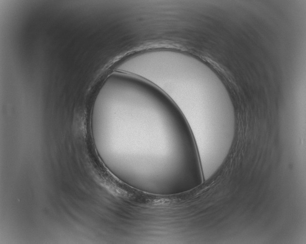 X0000083650064200702120847