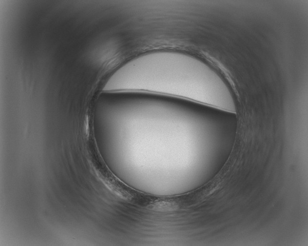 X0000083650067200702120847