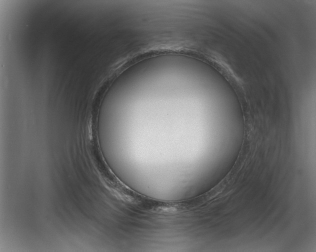 X0000083650068200702120847