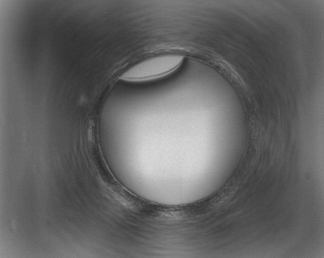 X0000083650071200702120847