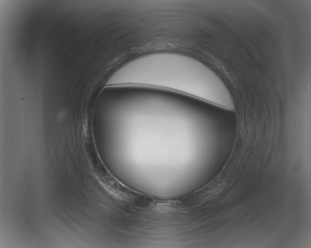 X0000083650072200702120847