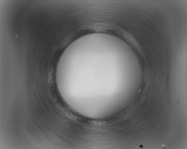 X0000083650073200702120847