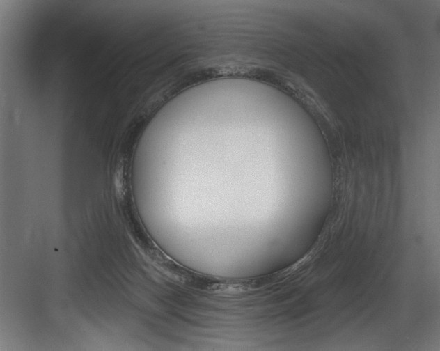 X0000083650074200702120847