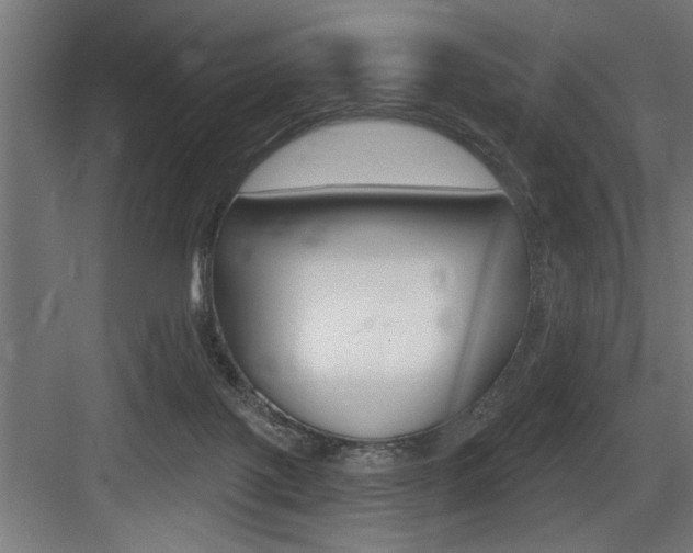 X0000083650075200702120847