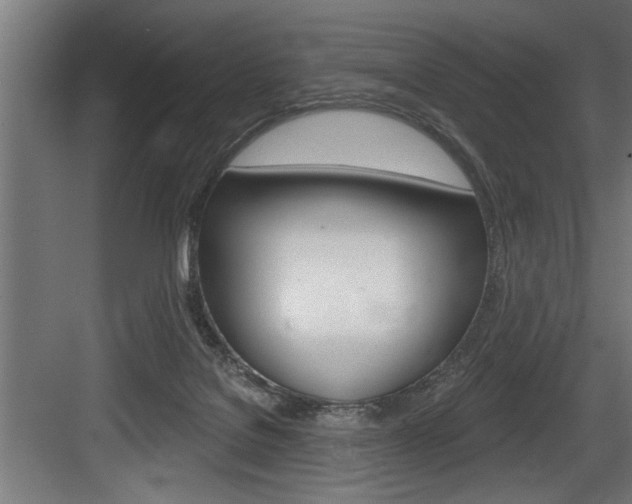 X0000083650076200702120847
