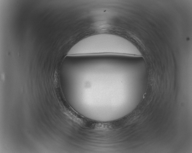 X0000083650077200702120847