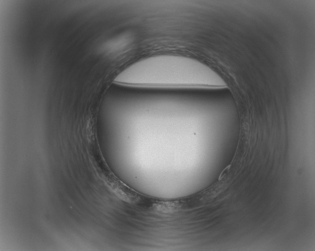 X0000083650079200702120847
