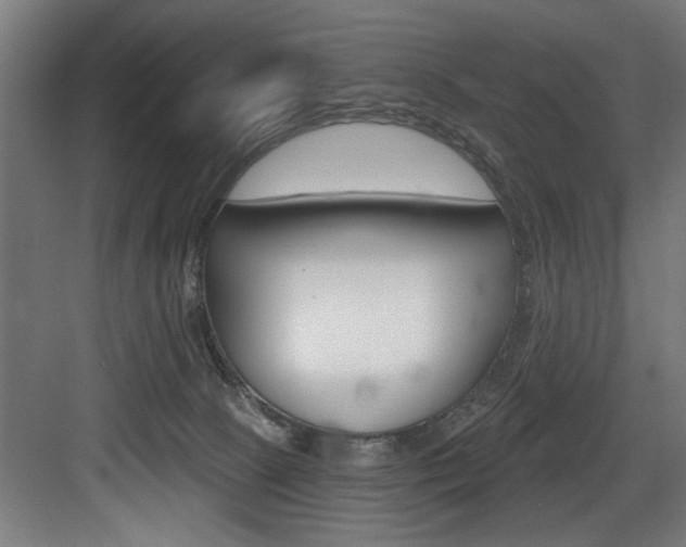 X0000083650081200702120847