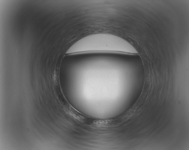 X0000083650084200702120847