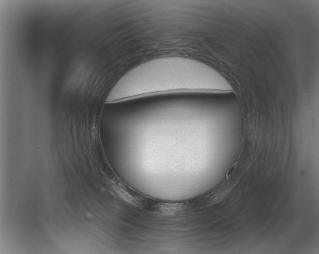 X0000083650085200702120847