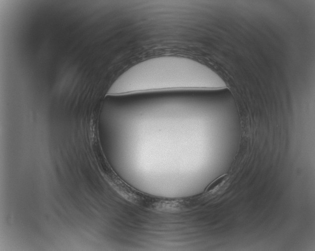 X0000083650086200702120847