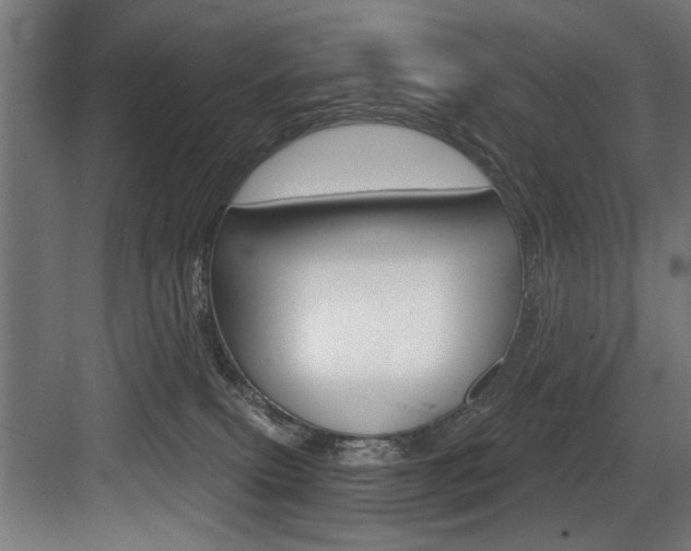 X0000083650087200702120847