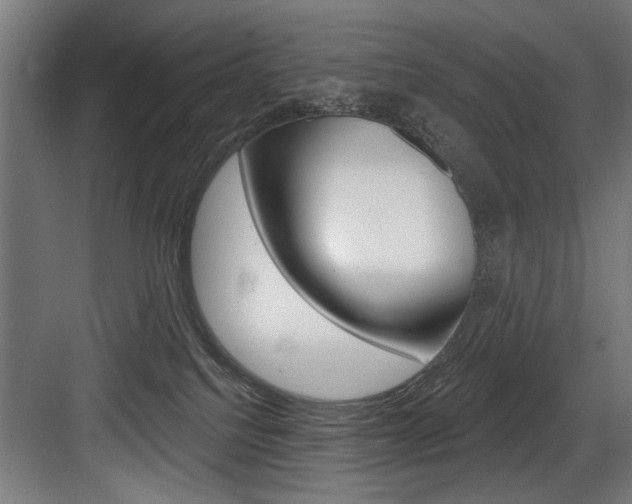 X0000083650088200702120847